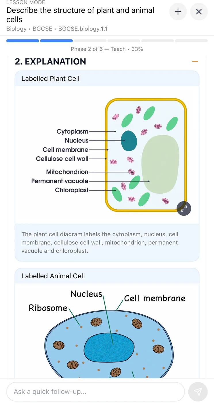 A MatLearn lesson on the plant and animal cell, with labelled diagrams